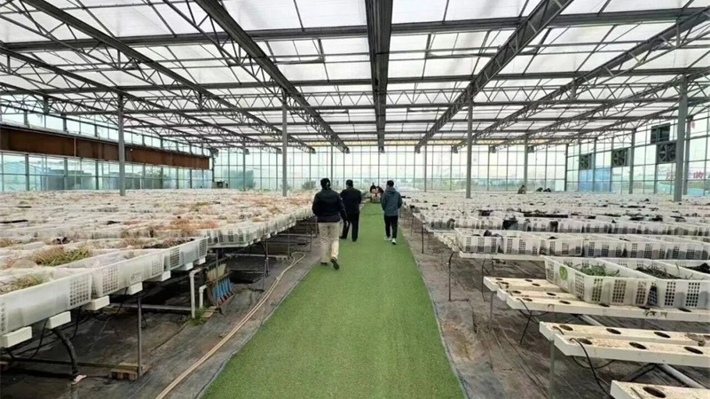 甘肅金控?fù)?dān)保落地全省首筆民間投資專項(xiàng)擔(dān)保貸款